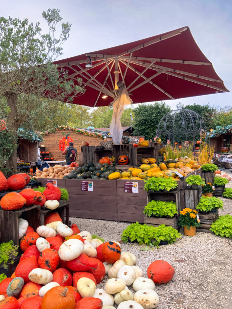 Gertrudenhof Kürbis-Markt