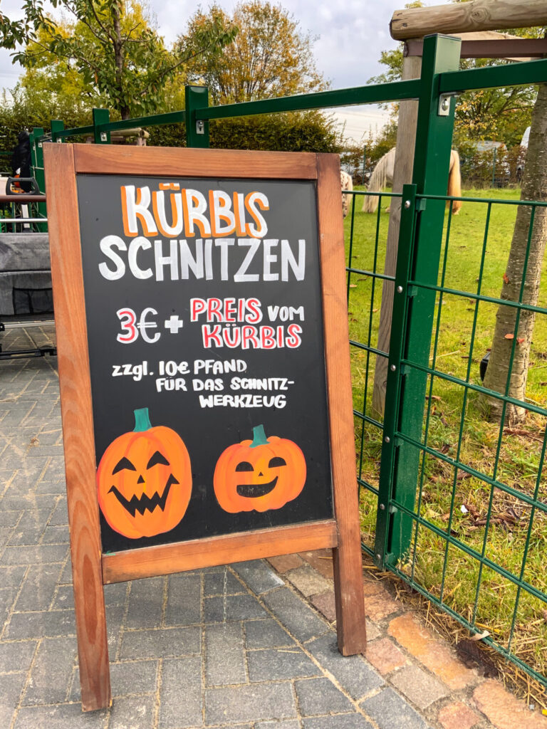 Gertrudenhof Kürbis schnitzen